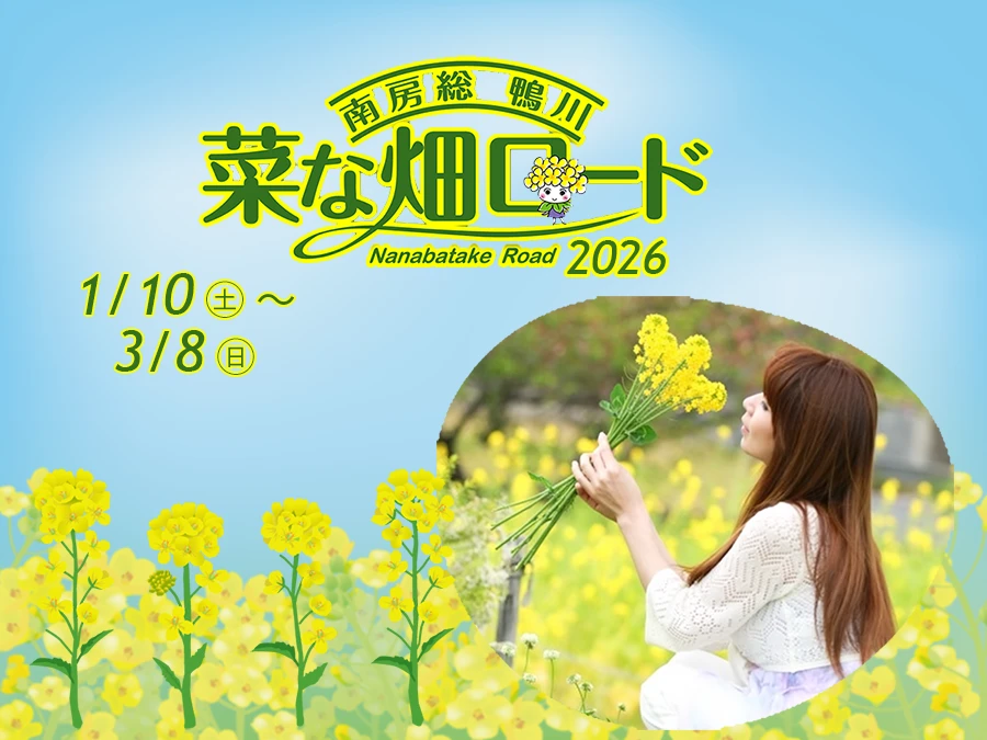 菜な畑ロード◇１万坪の敷地いっぱいに咲く菜の花畑